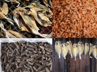 96 Trays Voedsel Dehydrator Fruit Groente Droger Industriële Fruit Dehydrator Machine Vlees Drogen Chili Dehydrator Fruit Droger