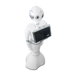 Robot IA du Groupe Sawano pour Prototypage CNC, Personnalisation Rapide, Modèle Industriel - Product Image 1