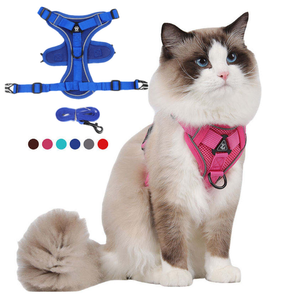 Cat Harness and Leash Set Escape Proof Reflective Puppy Kitten Chest Strap Walking Harness Adjustable Soft Breathable Mesh Vest - Product Image 1