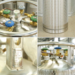 DPL450-195H Oxygène Liquide Dewar Tank <span class=keywords><strong>Prix</strong></span> Poisson Voiture Bouteille Vertical Liquide Oxygène <span class=keywords><strong>Gaz</strong></span> Dewar Tank - Product Image 3
