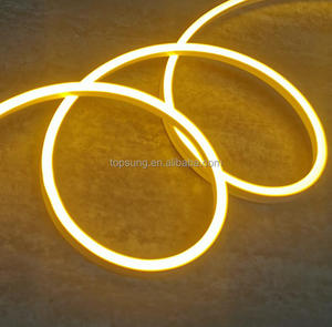Daylight White Neon <strong>Lights</strong> <strong>12v</strong> 6x12mm IP65 Neon Flex Strip Multiple Color DIY Neon Sign <strong>Light</strong> for Amsterdam <strong>Light</strong> Art Festival - Product Image 5