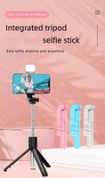 Multiples modes d'utilisation R1S Bâton de selfie pour téléphone portable avec lumière LED de beauté Télécommande Bt Trépied de bureau multifonctionnel en direct