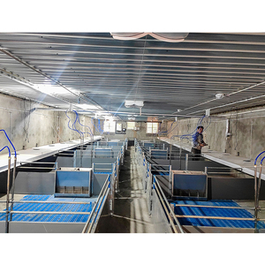 ลังเลี้ยงหมูสำหรับสถานรับเลี้ยงเด็กหมูขนาดกำหนดเองได้ - Product Image 5