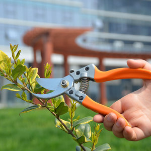 Outils de jardinage multifonctionnels, élagage manuel sans fil, échancrée de graines colorées à grand <span class=keywords><strong>prix</strong></span> - Product Image 4