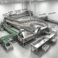 Ligne d'abattage automatique industrielle pour volailles en acier inoxydable, équipement de traitement de la volaille pour abattoir de canards et d'oies