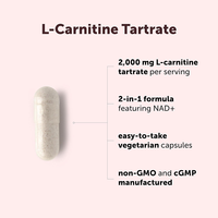 Complément Alimentaire Végétarien en Capsules de L-Carnitine Tartrate 2000mg NAD+ à Marque Blanche pour le Métabolisme Quotidien et la Vitalité Cellulaire Cardiovasculaire