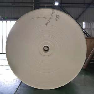 Rouleau de papier enduit PE imperméable 150-350 g/m² pour solutions d'emballage alimentaire anti-humidité, haute densité - Product Image 2