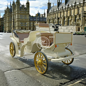 Prix d'usine de luxe utilisé calèche touristique de luxe pour parc calèche vente chaude - Product Image 6