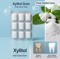 Certificat HACCP/KOSHER Vente en gros de chewing-gum sans sucre au goût citron menthe avec xylitol