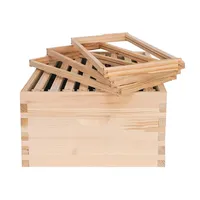 Imkerei-Bienenstock: 10 oder 8 Rahmen, unmontierter Langstroth-Holz-Bienenstock zum Verkauf, Honigbienenstock mit Bienenrahmen
