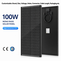 Panneau Solaire BIPV OEM pour Usage Domestique 18V 60W 80W 100WP 150W 200W 250W 300W, Panneaux Solaires en Verre Monocristallins 12V 100W pour Toiture
