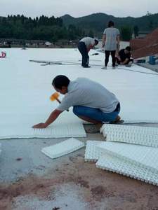 Tobogán de arcoíris para pista de esquí seco al aire libre para parque de atracciones y centro recreativo - Product Image 3