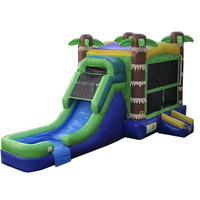 Parc aquatique gonflable commercial extérieur en PVC pour usage humide et sec, modèle Palm Tree Combo