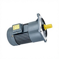 Moteur à induction à engrenages horizontal monophasé/triphasé 220V 750W 28mm 50Hz/60Hz