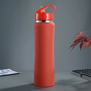 Matte Finish Outdoor Sports <b>Water</b> <b>Bottle</b> 600ml 750ml Double Wall Vacuum Insulated Stainless Steel <b>With</b> <b>Straw</b> Handle Design - Product Image 2