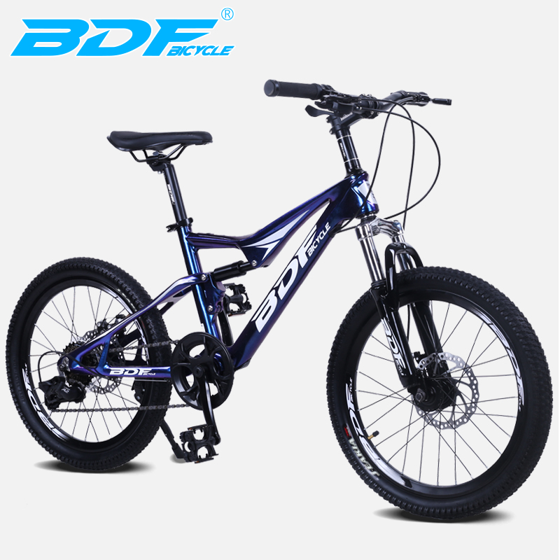 BDF-TSZY Chameleon