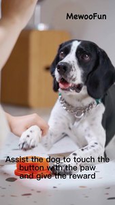 4-Pack pulsante vocale registrabile per la comunicazione formazione semplice cartone animato cicalino parlante per cani animali domestici piccola personalizzazione - Product Image 2