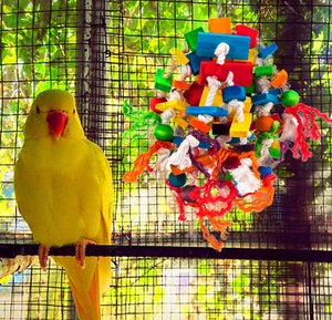 Multicolored Large Wooden Blocks Tearing <strong>Toys</strong> Bird <strong>Parrot</strong> Chewing Biting <strong>Toy</strong> for African <strong>Grey</strong> <strong>Parrot</strong> - Product Image 3
