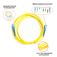 Cordon de brassage fibre optique FTTH SM Simplex G652D 1m 2m 3m 5m 10m SC/UPC-SC/UPC