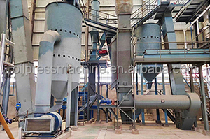 خط ضغط مخصص 3 طن/ساعة مع آلة هضم عمودية وآلة ضغط لولبية مزدوجة وخزانات توضيح - Product Image 4