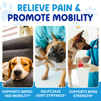 Complément alimentaire pour la santé des articulations des chiens Worafy OEM avec glucosamine, chondroïtine et MSM pour un soutien quotidien de la mobilité
