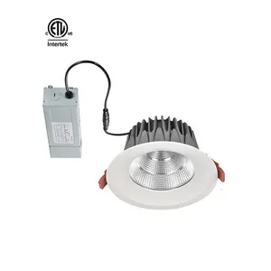 고품질 주문을 받아서 만들어진 제조자 IP65 LED downlights 3CCT 80lm/w 벽 빛 중단된 천장 빛