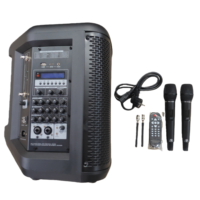 Amplificateur professionnel DSP de classe D OEM, système audio multifonctionnel, enceinte active de 8 pouces avec batterie au lithium, système musical portable DC