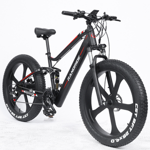 Bicicleta RANDRIDE YX90M con Neumáticos Gruesos para Adultos, 26x4 Pulgadas, Motor Trasero sin Escobillas, Batería de Litio, 21 Velocidades, Cuadro de Aluminio, Stock en la UE - Product Image 4