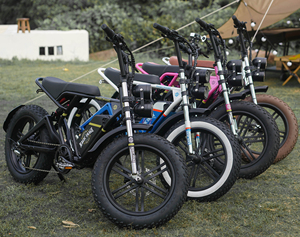 Vélo de café 4 roues 2025 <span class=keywords><strong>Scott</strong></span> Nouveau Design Monovitesse Fat 20*4 Vélo Électrique Urbain pour Trajets Quotidien Batterie Lithium <span class=keywords><strong>Cadre</strong></span> en Acier Cro-Moly - Product Image 6