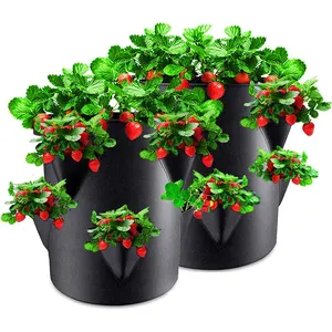 Bolsa para cultivo de plantas, maceta para cultivo de plantas de fieltro, color negro y verde, a precio de fábrica