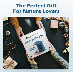 Nieuwste producten Slimme Vogelvoeder met Camera, 2K HD Vogelobservatiecamera AI Identificatie Weerbestendig Traagloze Kolibrie - Product Image 3