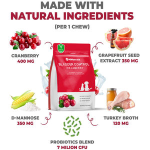 Solutions personnalisées de contrôle de la vessie pour animaux de compagnie Pâte de soutien immunitaire Suppléments Calcium multivitamines pour chiens Chats-Safe Fast - Product Image 4