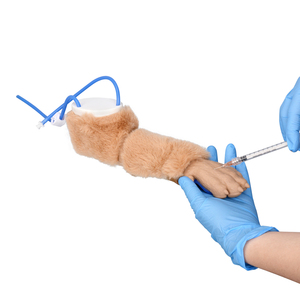 Modelo de entrenamiento para inyecciones IV en patas caninas, simulador realista de venopunción en patas de perro con venas reemplazables - Product Image 2