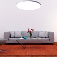250mm 300mm 370mm 450mm Éclairage d'intérieur à la maison Utilisation Plafonnier LED rond