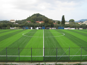 Gazon artificiel de qualité supérieure pour les terrains de football professionnels - Product Image 3