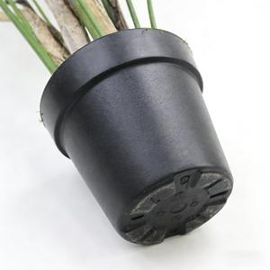 Árbol Bonsái de Ave del Paraíso, Corteza de Plátano <span class=keywords><strong>Natural</strong></span> Seca, Hierba Peluda, Planta Artificial Realista y Ecológica para Interiores - Product Image 4