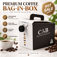 Sac BIB personnalisé 1L 2L 3L, sac aseptique jetable en plastique avec bec verseur pour huile d'olive, vodka, jus, café à emporter