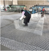 Malla de Gabión Hexagonal Tejida, Galvanizada en Caliente, de Acero, para Gestión de Ríos y Protección de Taludes, la Más Vendida, Suministrada por Fábrica