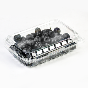 Tùy chỉnh cấp thực phẩm Pet nhựa dùng một lần 1lb/1,5lb/2lb dâu tây container punnet Blueberry vỏ sò bao bì hộp - Product Image 6