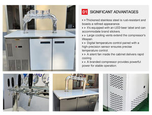 Vente chaude Distributeur de bière électrique à refroidissement par air de type D Machine à robinet automatique <span class=keywords><strong>Pompe</strong></span> à fût automatique Distribution de bière - Product Image 4
