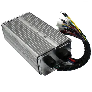 48V 72V 60V 500W 750W 1000W DC Bl Motors teuerung für Dreirad autos