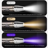 Lampe torche LED UV professionnelle à lumière puissante pour jade, portée de 500 m, ultra-lumineuse, rechargeable, multifonctionnelle pour gemmes