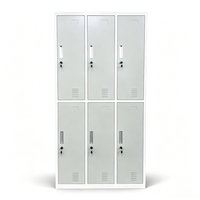 Casier en acier de haute qualité, conçu sur mesure, à 6 portes, pour salle de sport, usage commercial, rangement de vêtements