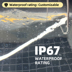 <span class=keywords><strong>ไฟ</strong></span><span class=keywords><strong>นีออน</strong></span> LED ซิลิโคนกันน้ำ IP67 สีวอร์มไวท์แบบกำหนดเอง <span class=keywords><strong>ไฟ</strong></span> LED แบบยืดหยุ่นสำหรับตกแต่งภายนอกอาคาร ราวบันได และราวจับ - Product Image 4