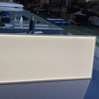 Panneau LED personnalisé 4000K/6000K/9000K, plaque de guidage lumineux en acrylique à points laser, panneau rétroéclairé LGP, panneau lumineux, plaque acrylique