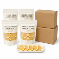 Tranches de citron lyophilisées pour le thé, vente en gros, tranches d'agrumes séchées, OEM, marque privée, fournisseur d'exportation d'usine