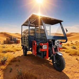 Off Road Farm Adult High Quality 3 Wheel Utility Trike Motorcycle Delivery Solar Tricycle 2000W - Product Image 1