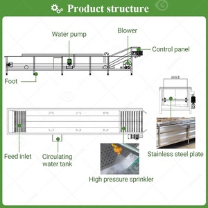 Industrie Légumes Fruits <span class=keywords><strong>Date</strong></span> Carotte Wash Clean Cleaner Washer Laveuse <span class=keywords><strong>De</strong></span> Papa Frutas Machine Équipement et ligne - Product Image 4