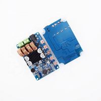 Zhida shunfa TPA3118 Carte d'amplificateur de puissance TPA3118D2 Core double 45W prise en charge 12-24V module de haut-parleur haute puissance