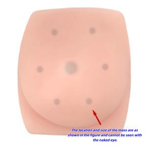 Modèle de sein en silicone pour biopsie par aiguille guidée par échographie (B-échographie) - Modèle d'enseignement et de formation médicale - Product Image 2